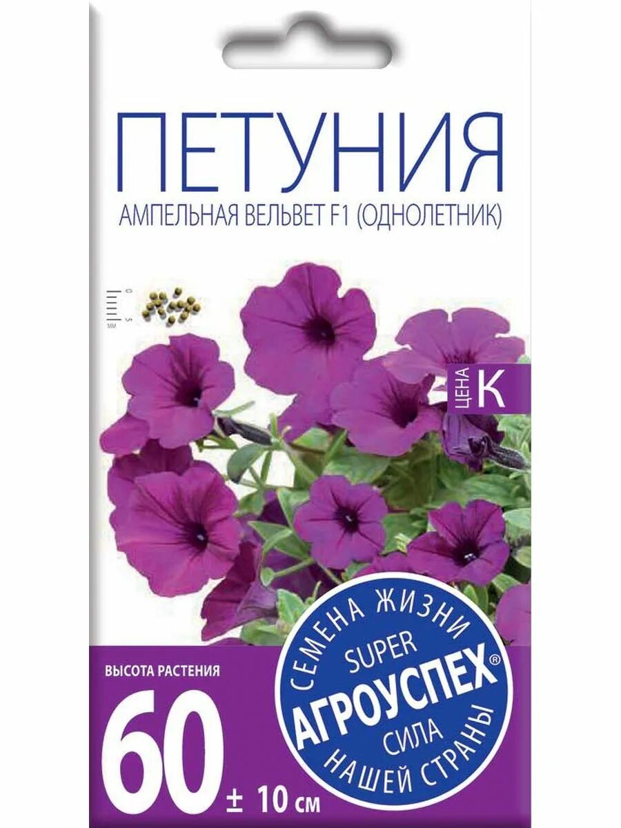 Петуния вельвет описание. Петуния вельвет описание. Петуния парпл вельвет. Петуния ампельная парпл вельвет. Петуния вельвет описание.