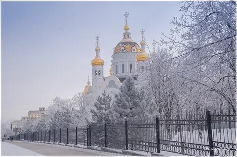 Донецк январь