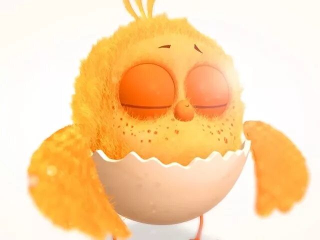 Цып цып тема. Цыпленок. цып-цып!. игрушка &quot;цыпленок&quot;.. цып цып игрушка. цыпа цып.
