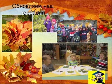 Осенние проекты в детском саду