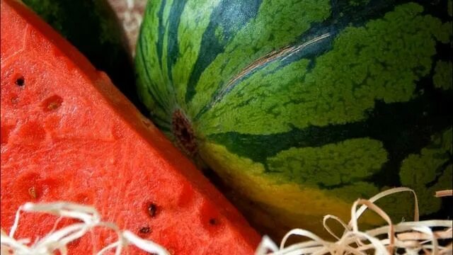 Панорама: Экоарбуз, сельскохозяйственная продукция, Сплавная ул., 8, микрорайон