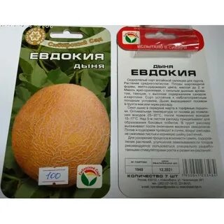 Лучшие семена дыни