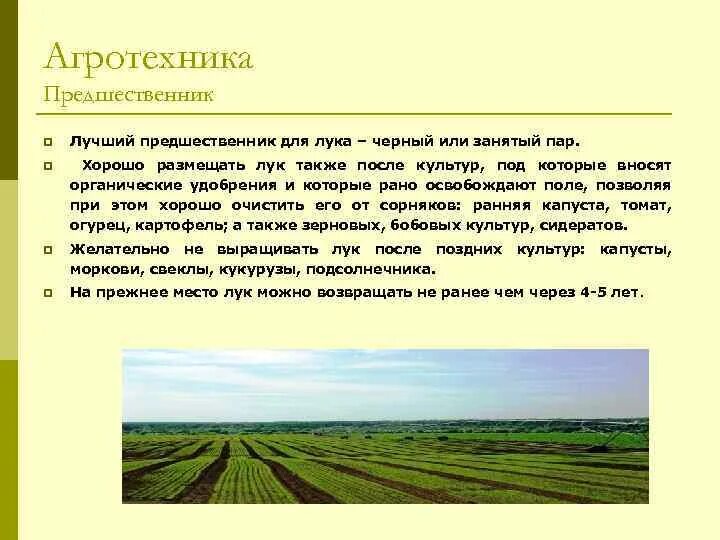 Агротехника возделывания. Краткая агротехника. Агротехника меры борьбы. Краткая агротехника. Технология возделывания картофеля.