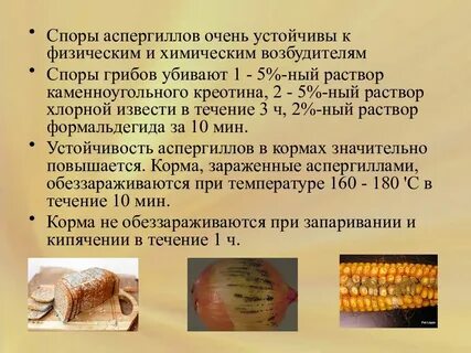 Химический возбудитель