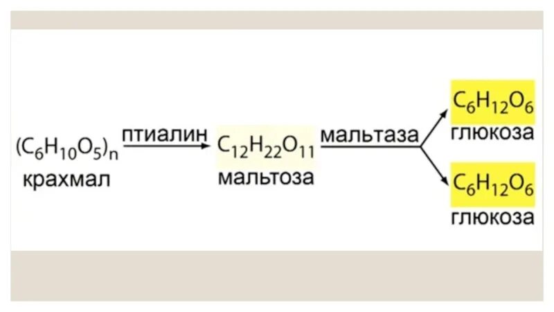 Фермент птиалин расщепляет. Птиалин. Амилаза мальтаза птиалин. Фермент птиалин /амилаза/ действует гидролитически на.