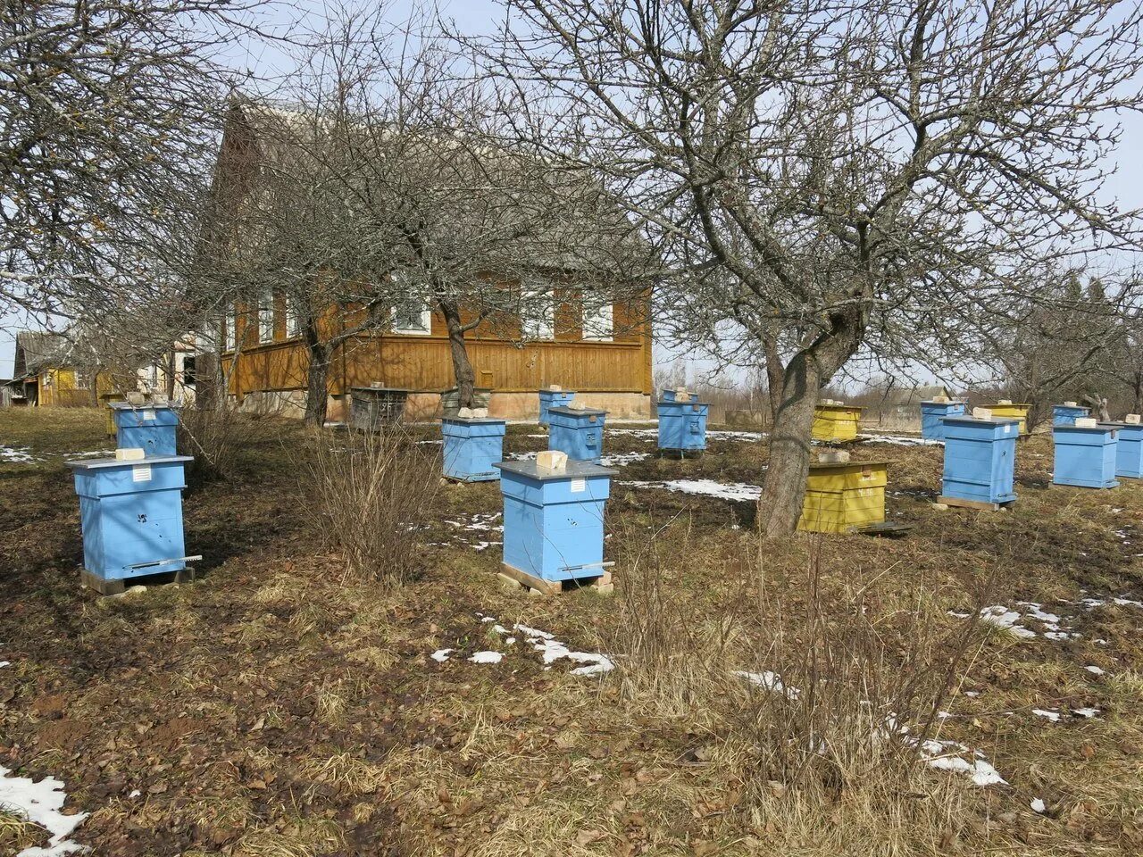 Пасека оптиной пустыни. Пасека спб. Пасека спб. Пасека в нижнем новгороде. Дочь пчеловода.