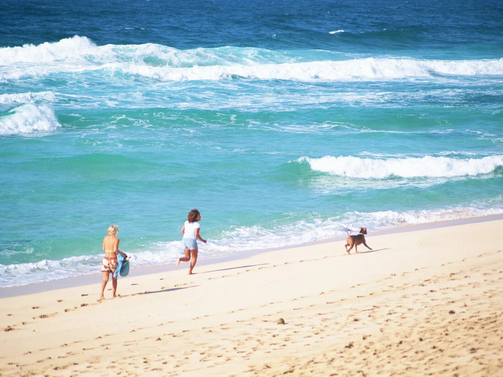 морской пляж с людьми. количестве на каждом пляже. люди на пляже. количестве на каждом пляже. флорида сша пляж.