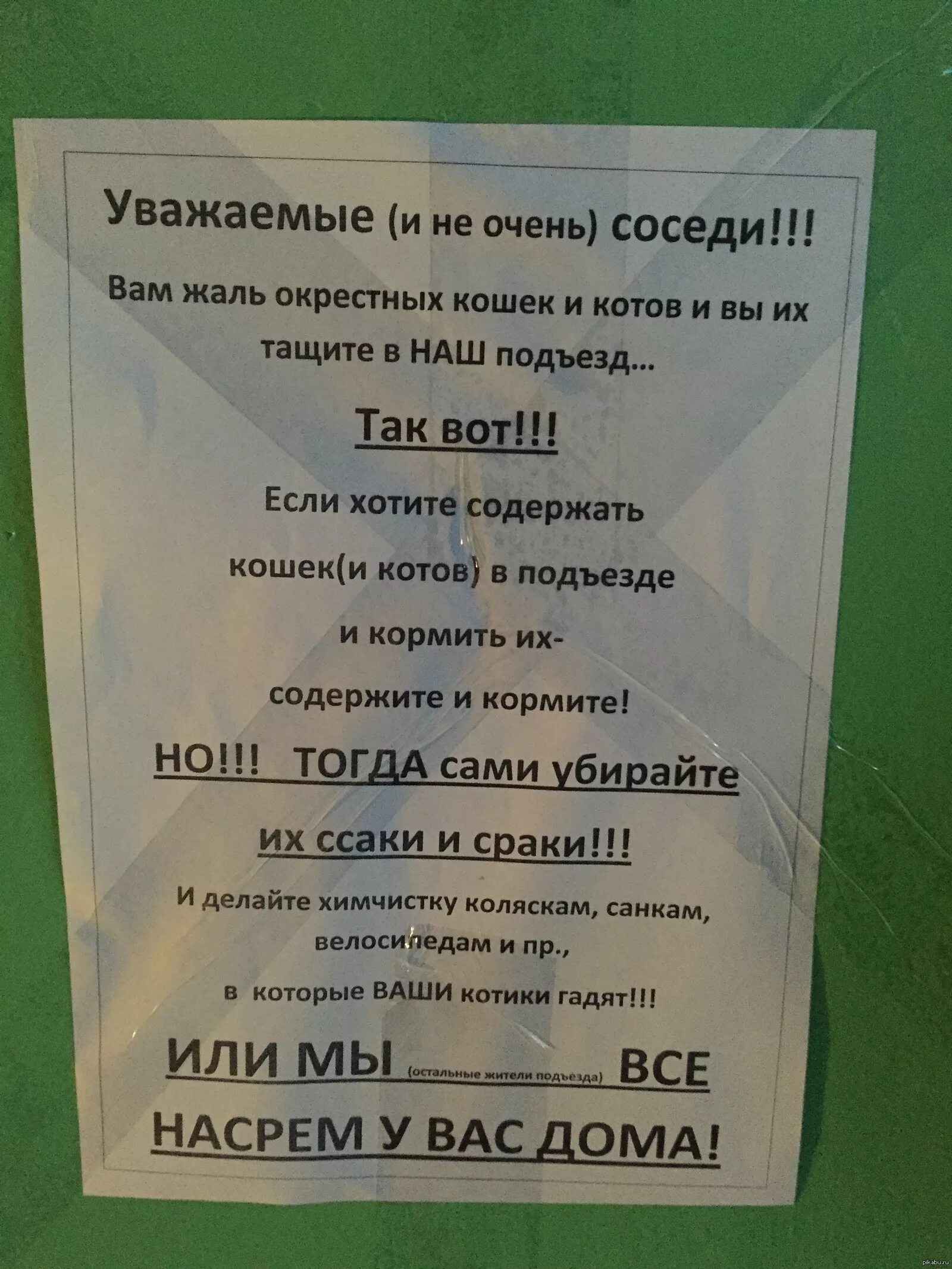 Объявление для соседей. Объявление про кошек в подъезде. Обьявление в подьез о жи. Объявление о животных в подъезде.