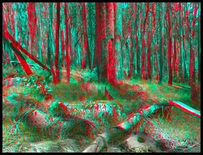 3d pic gallery
