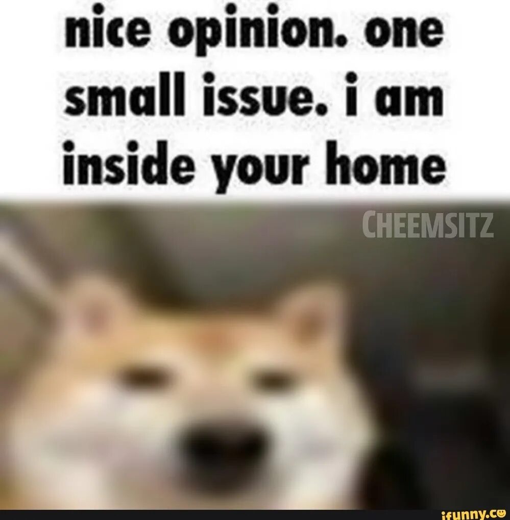 Nice opinion one small Issue. Nice opinion meme. Nice opinion one small Issue meme. Nice opinion one small Issue im inside your House. Small issue