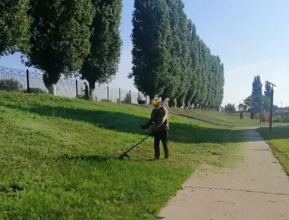 Куда вывозить траву