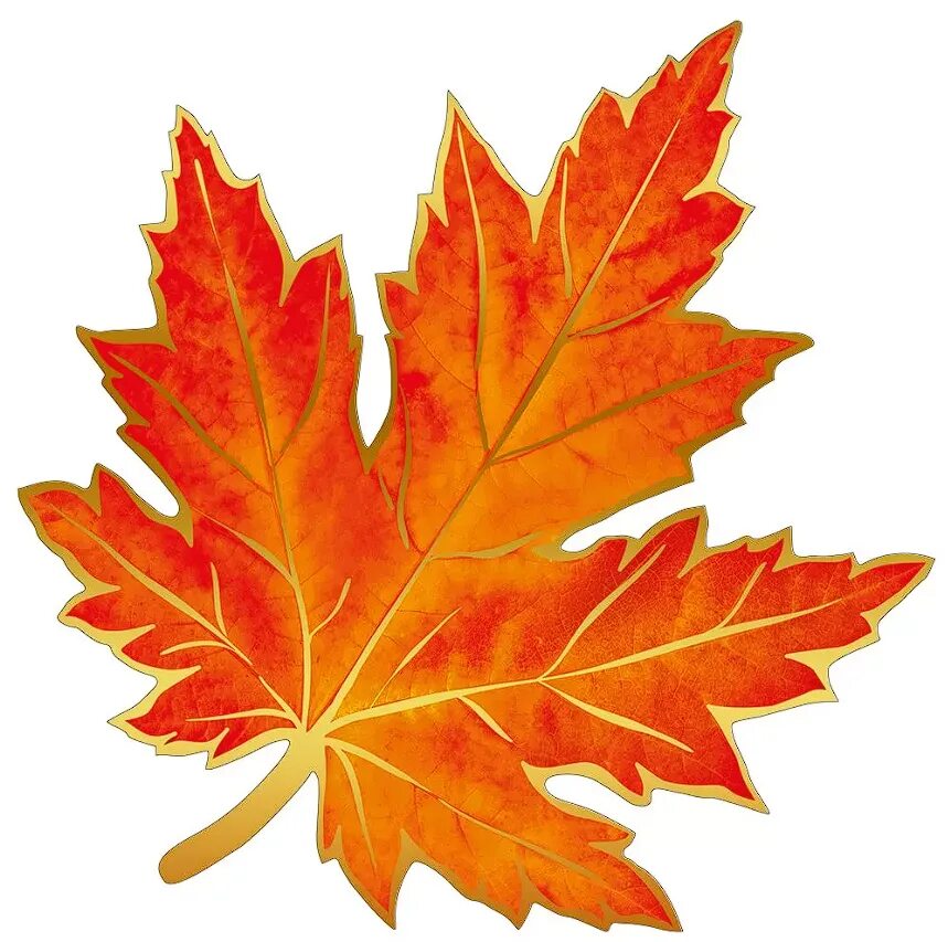 Листья для оформления класса. Осенний кленовый лист. Кленовый лист 15х15. Украшение "лист". Цветной лист.