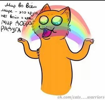 Коты воители мемы