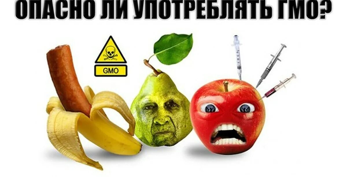 Чем опасен модифицированный