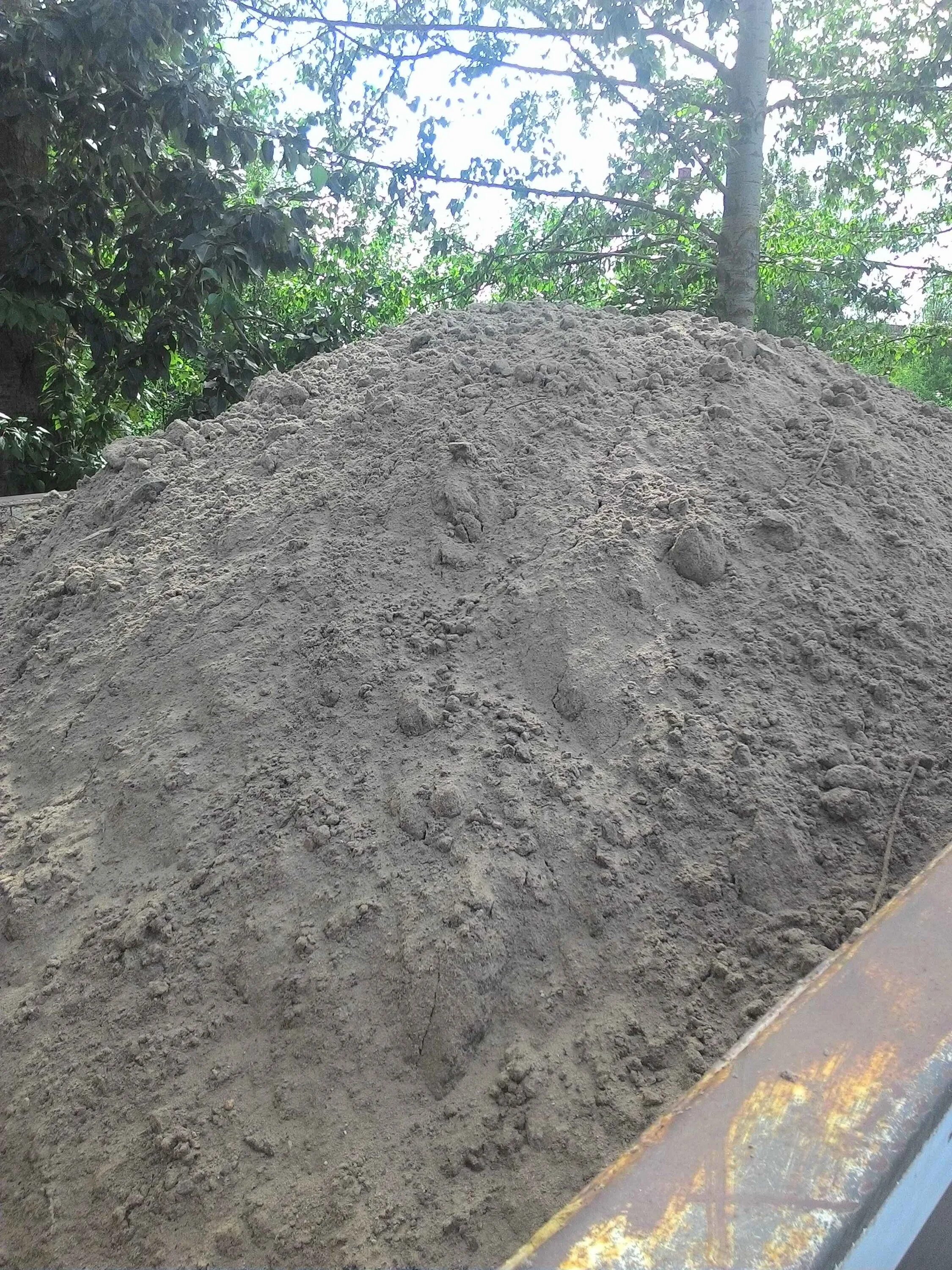 Почему земля серая. Почему земля серая. Засохшая земля с цветами. Море сухой трескучий земля. Почему земля серая.