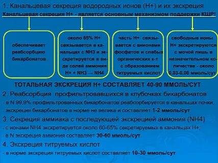 Канальцевая секреция