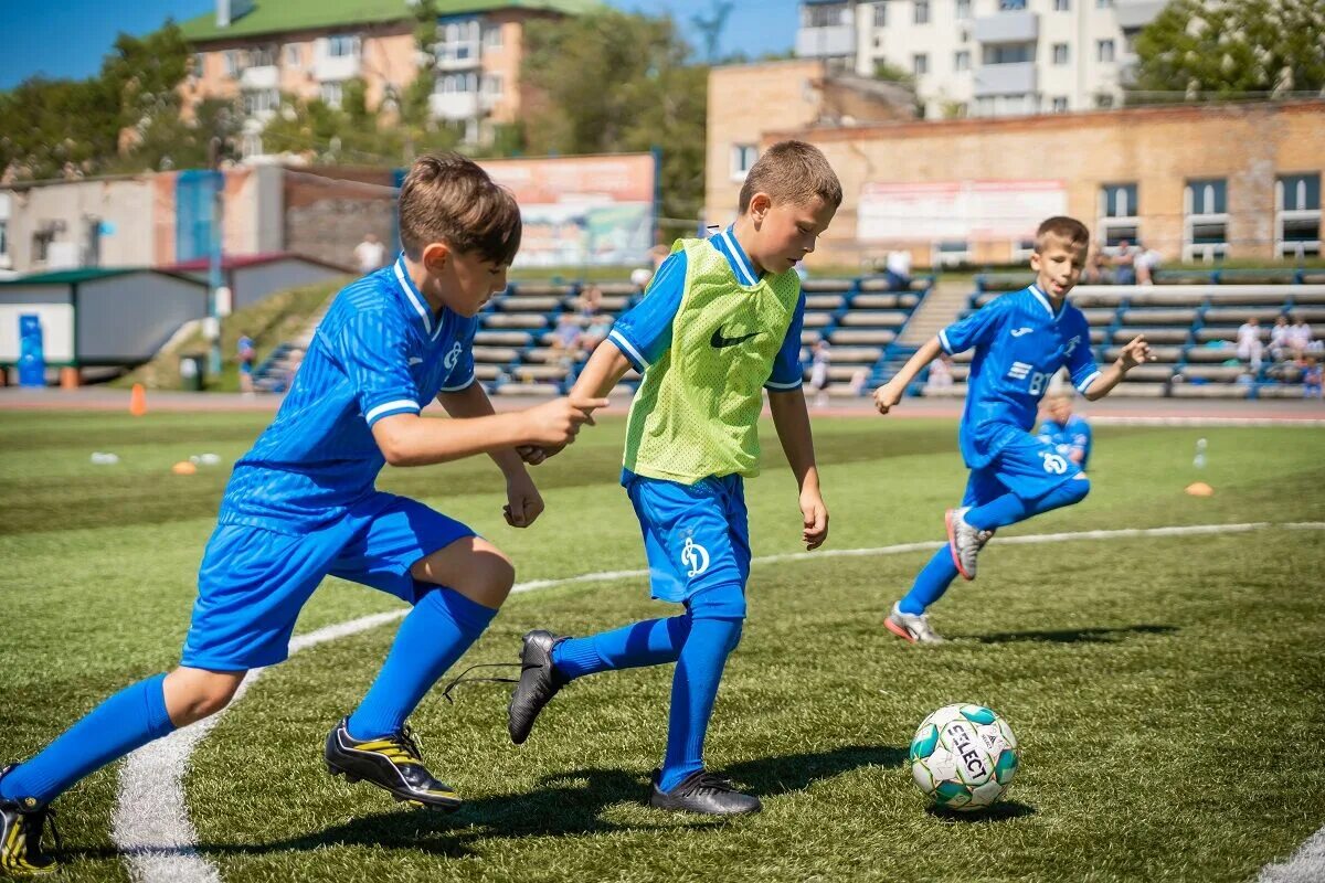 Просмотр в футбольную академию. Футбольная Академия Динамо им Льва Яшина. Академия Динамо Тула футбол. Академия футбола Казахстан. Динамо Академия футбола Новосибирск.