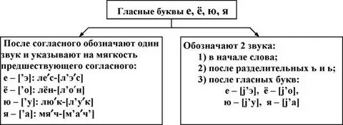 Кусок сонорные звуки на месте букв