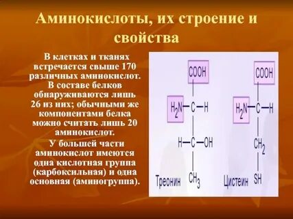 В состав белков входят разных аминокислот