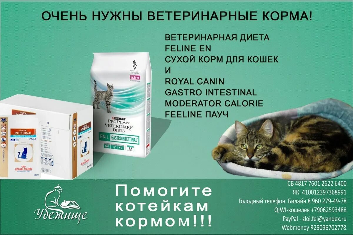 Можно ли давать коту разный корм. Ветеринарные корма для кошек. корм для кошек с проблемами жкт. корм для котят советы ветеринаров. вет диета корм для кошек.