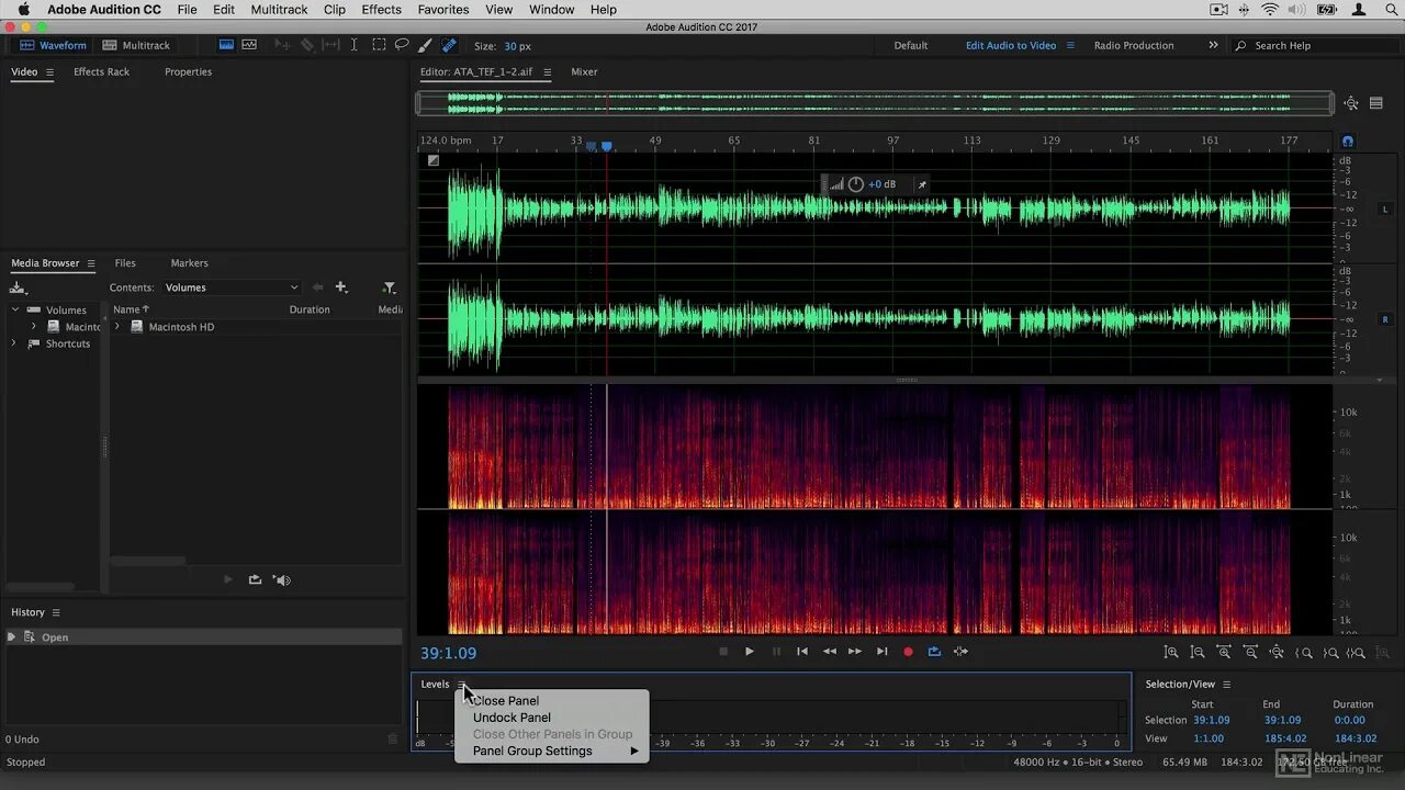 Audition crack. Микшер в adobe audition. редактирование аудио. adobe audition под линукс. audio editing software.