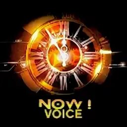 Voices now