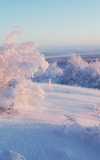 Пелена снега