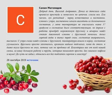 Сколько можно брусники в день