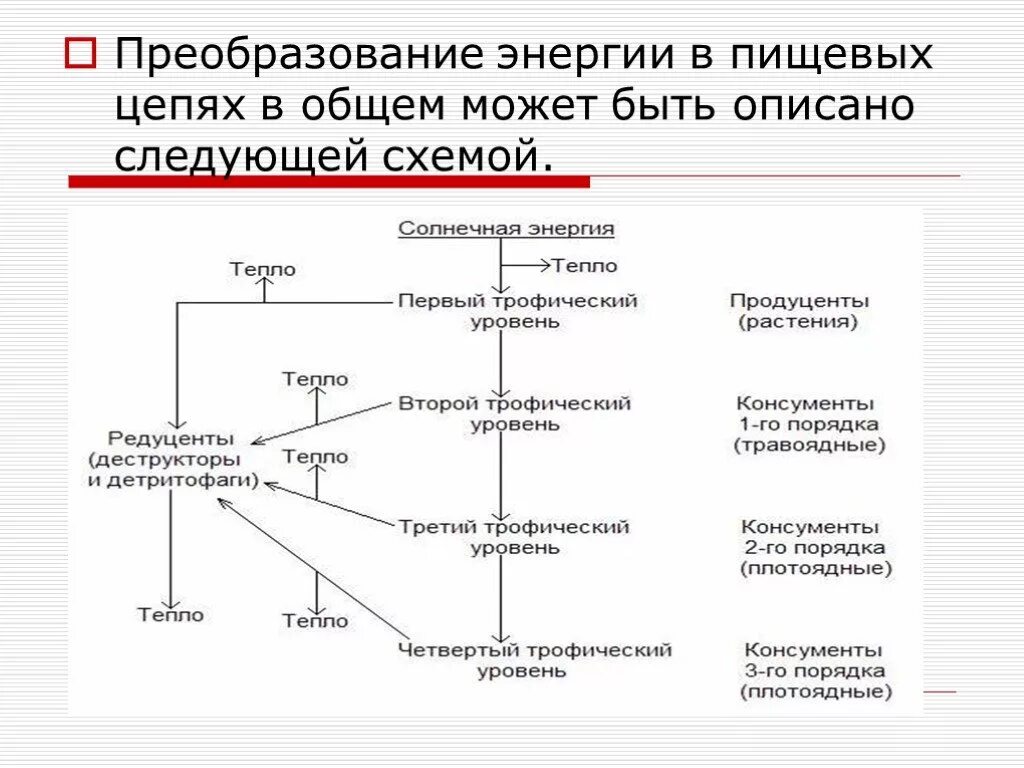 Второй трофический уровень образуют. 1 2 3 Трофический уровень. Трофические уровни схема. Трофические уровни растений. Виды трофических уровней.