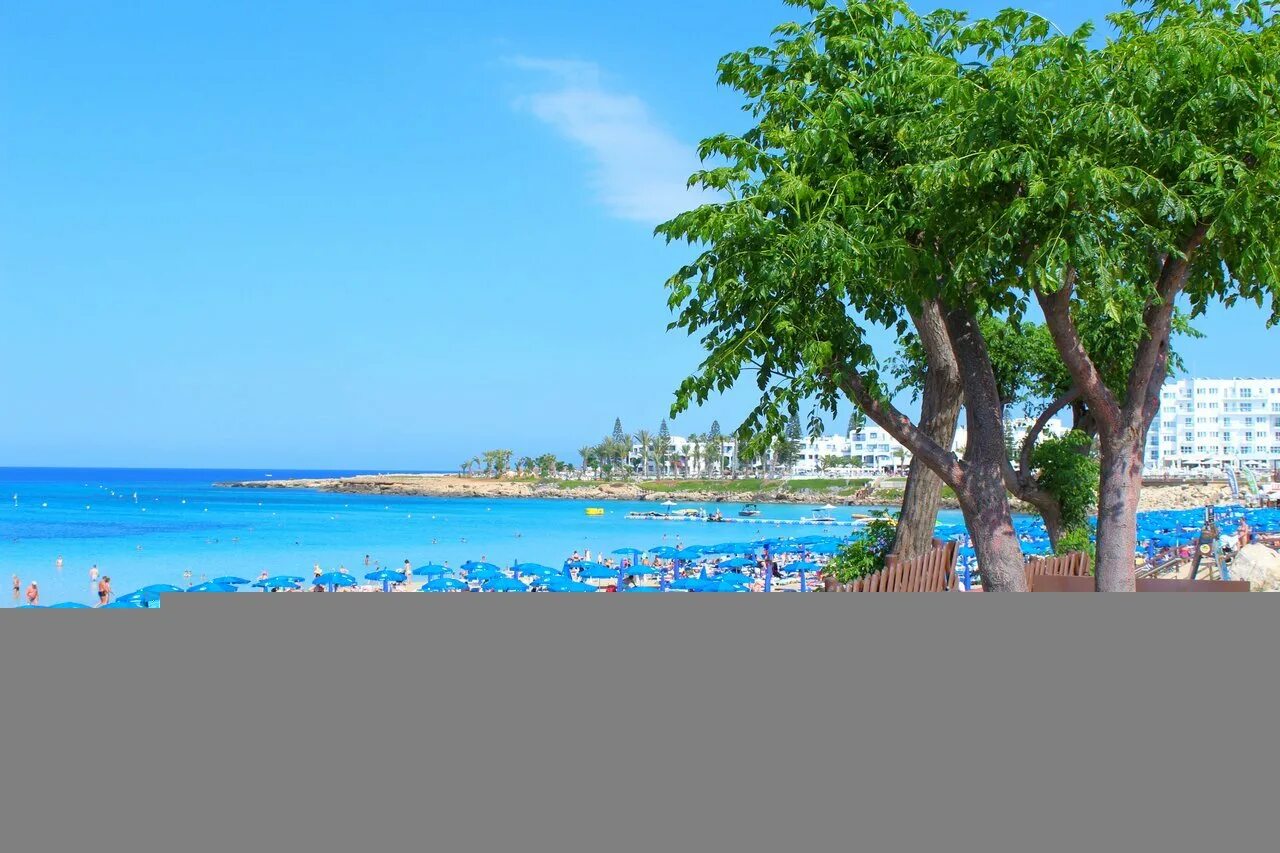 Фиг три Бэй Протарас. Протарас Fig Tree Bay. Пляж фигового дерева Кипр. Пляж big Tree Bay. Пляж фигового дерева