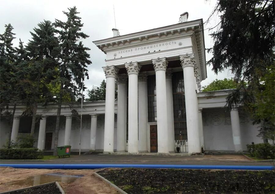 Галерея лес вднх. Павильон лес вднх. Павильон ветеринария на вднх. Павильон лес вднх. Павильон лесная промышленность вднх.