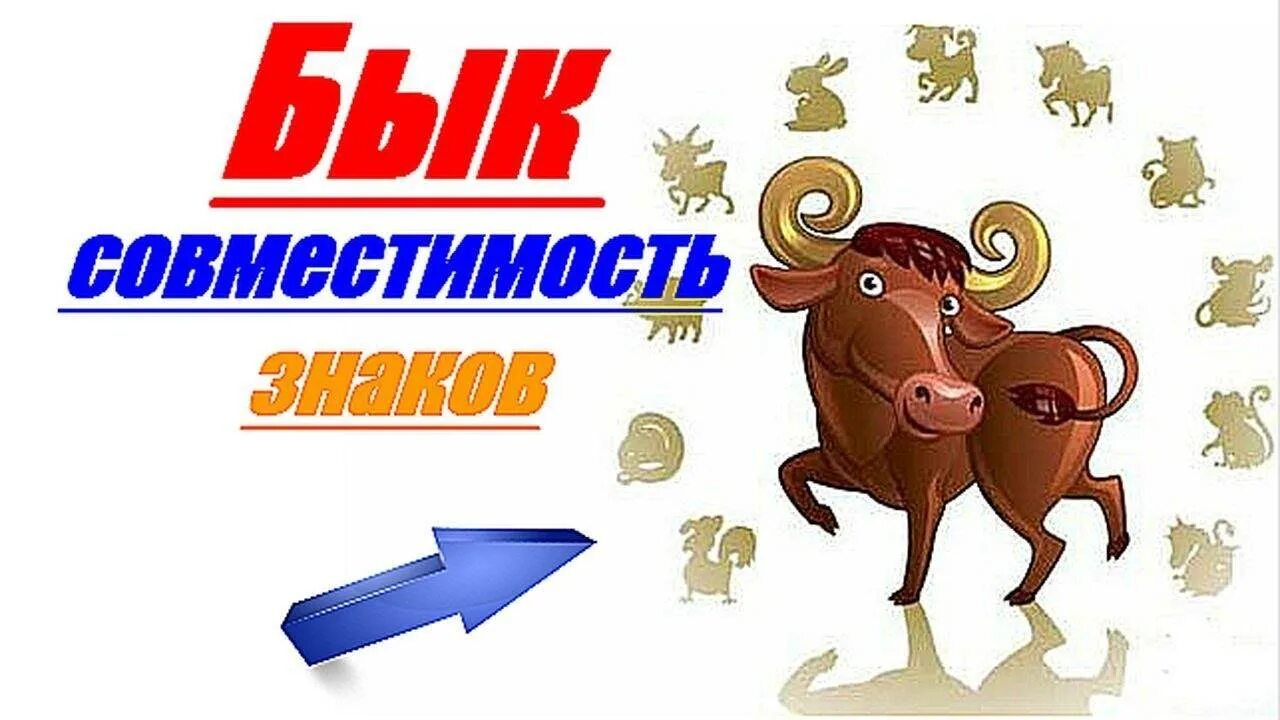 Совместимость свиньи. Женщина бык характеристика. Совместимость мужчины кабан женщина бык. Коза и крыса совместимость. Совместимость мужчины кабан женщина бык.