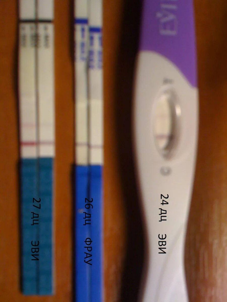 Тест 24 м. 26 ДЦ тест. 27 ДЦ тест на беременность. На 26 д ц тест. 24 ДЦ тест отрицательный.