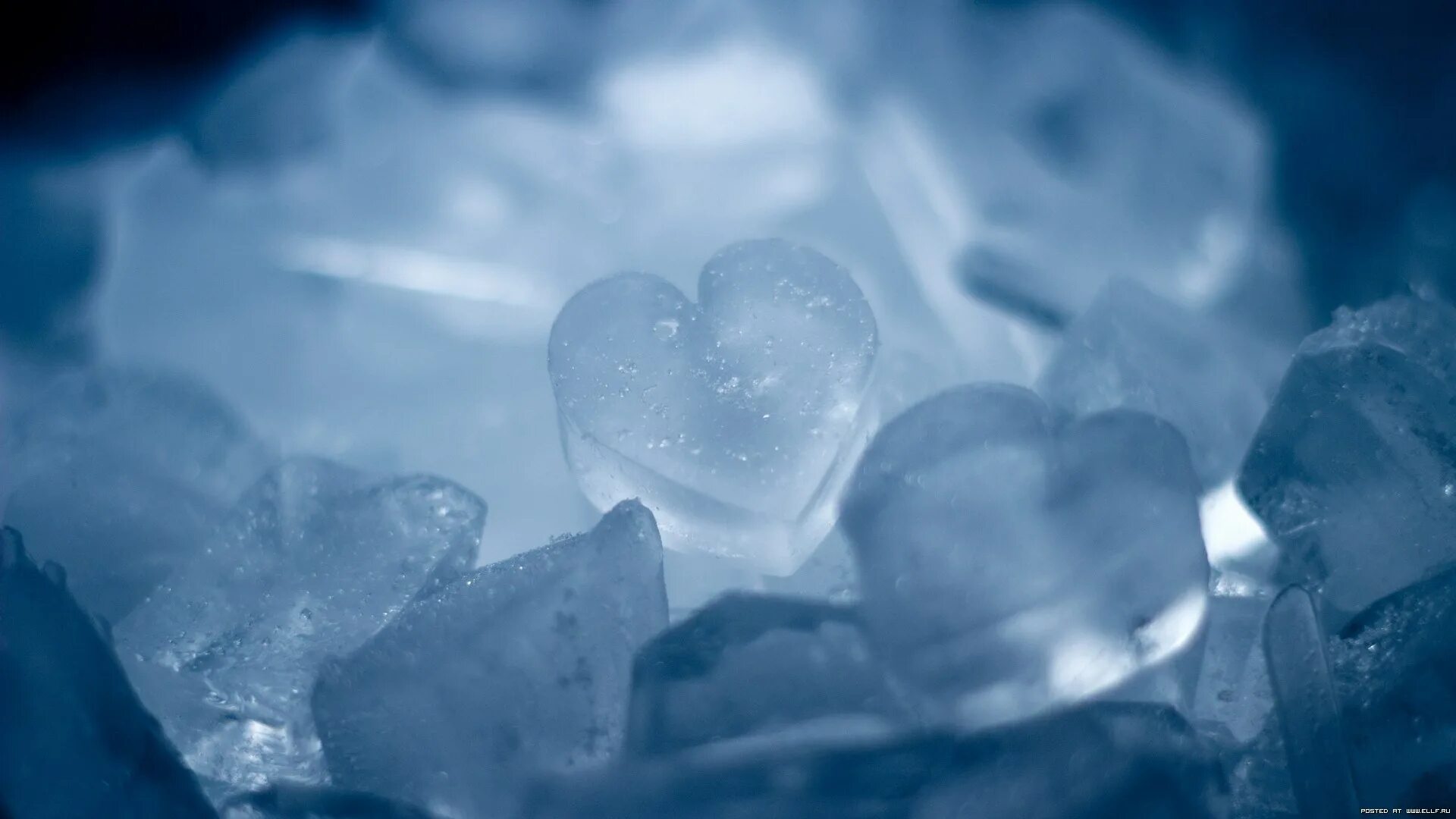 Ледяное сердце. Лед Эстетика. Ледяная Эстетика. Сердце изо льда. Грустный лед
