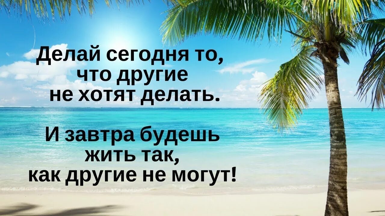 Фото море пальмы на бело голубом фоне