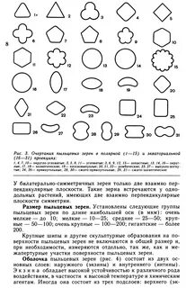 Число пыльцевых зерен
