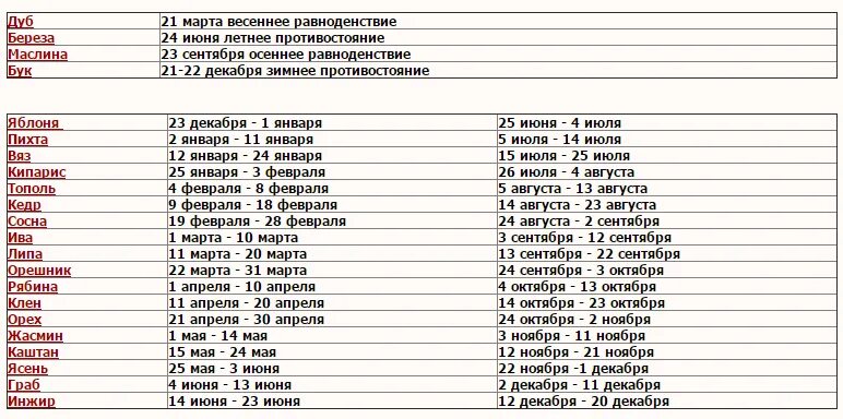 Какая дата подходит по дате рождения. Календарь друидов деревья по дате рождения дерево. Дерево по дате рождения и знаку зодиака. Деревья по гороскопу знаков. Гороскоп друидов по деревьям.