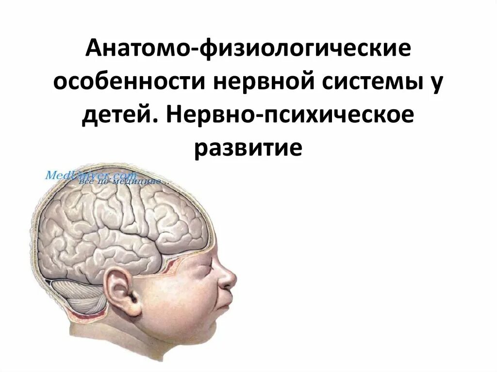 Нервная система ребенка. Анатомо-физиологические особенности нервной системы у детей. Особенности ЦНС У детей. Головной мозг ребенка.