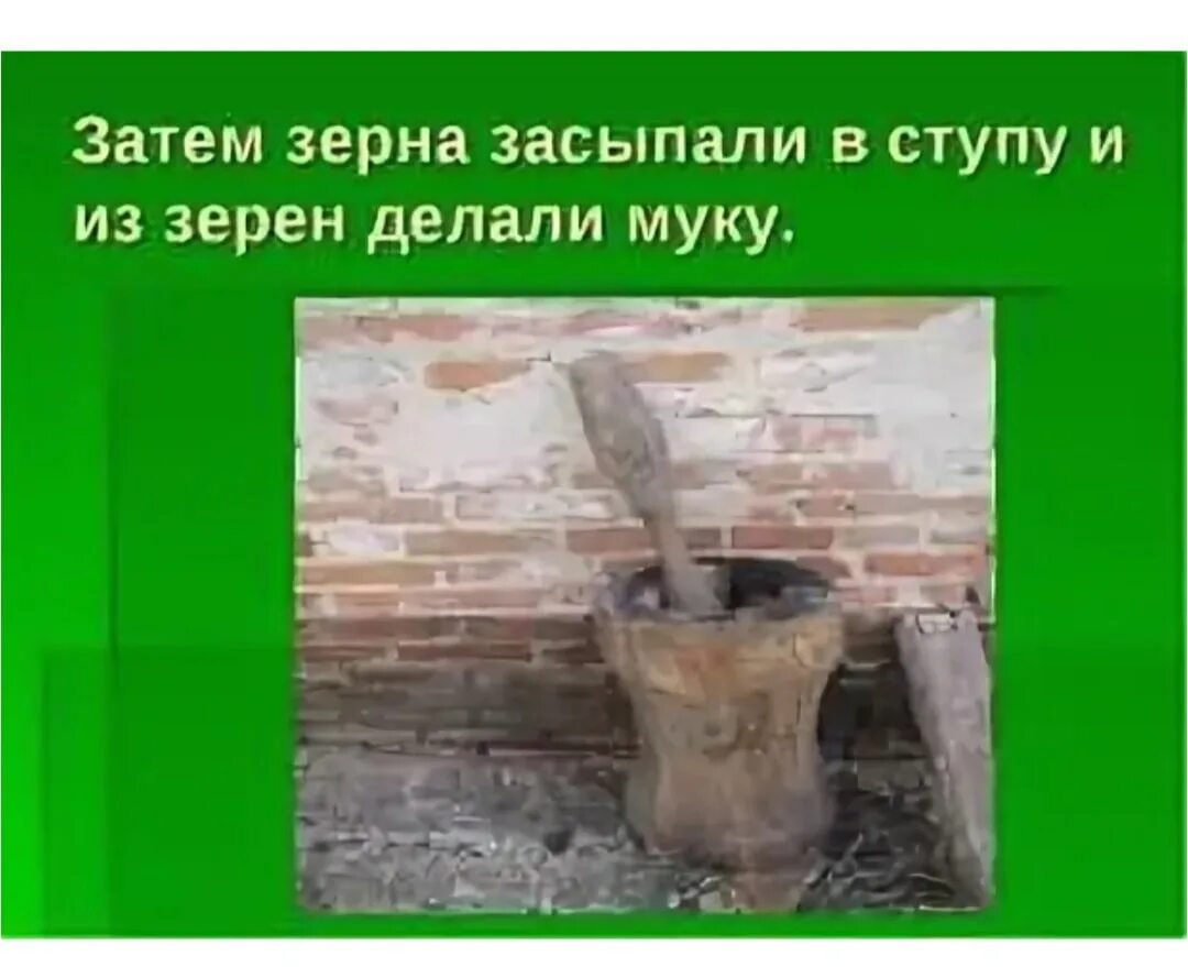 Мелет зерна обидевшись егэ. Ступы для перемола зерен. первая ступа для измельчения зерна пшеницы. ступки для измельчения зерна в древности. как делали муку в древности.