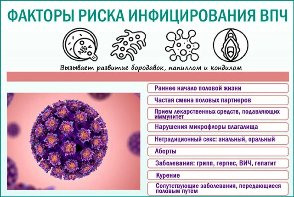 Вирус рака шейки матки. Вирус папилломы пути передачи. Факторы риска инфицирования ВПЧ. Папилломавирусная инфекция факторы передачи. ВПЧ пути заражения у женщин.