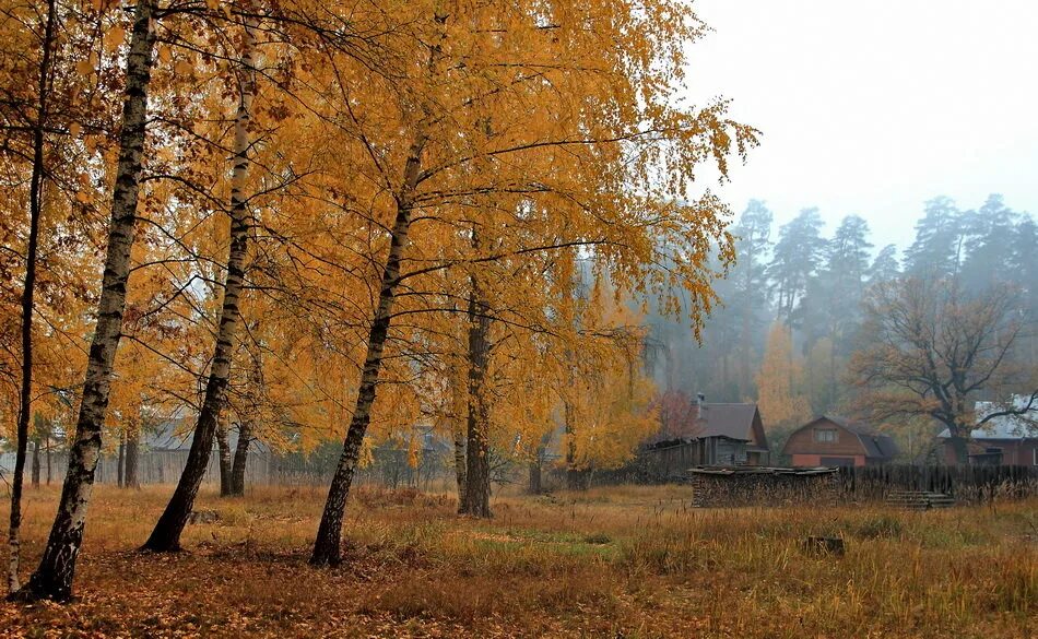 увядание цветов. увяданья золотом охваченный. эстетика увядшие цветы готика. есенин увяданья золотом охваченный. засохший букет.