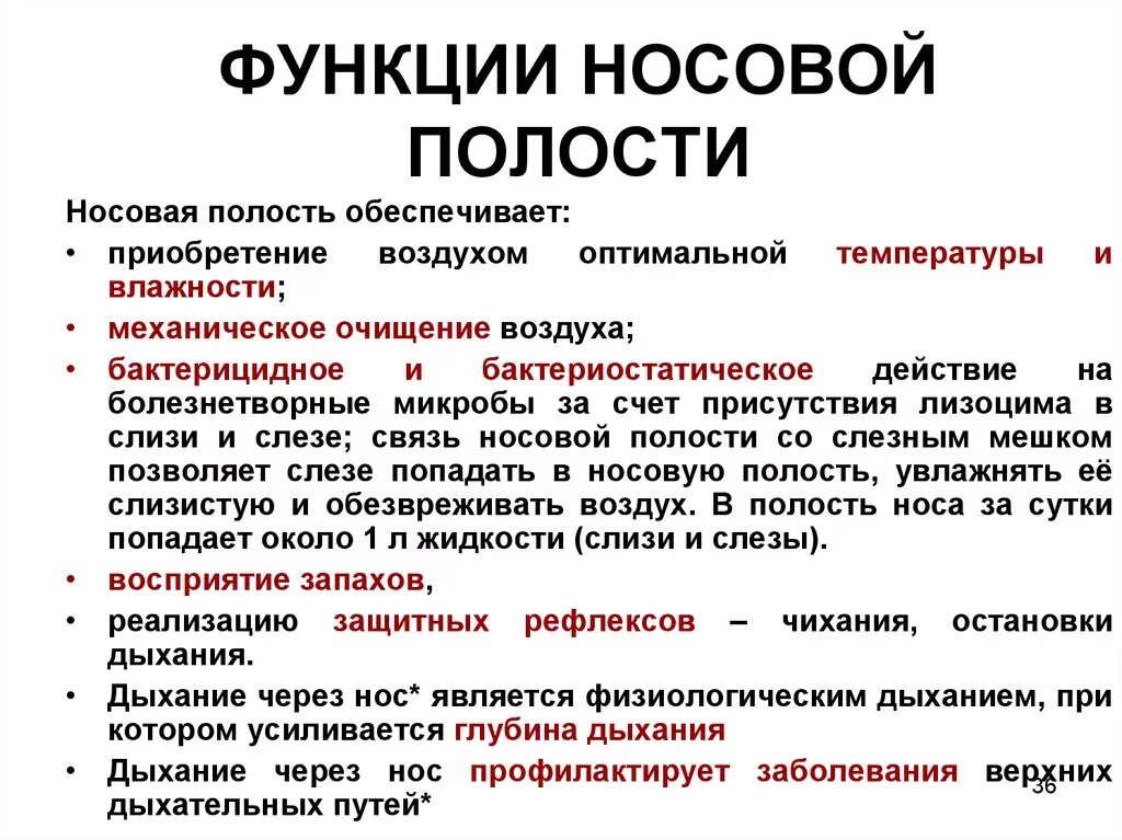 3 функции носовой полости