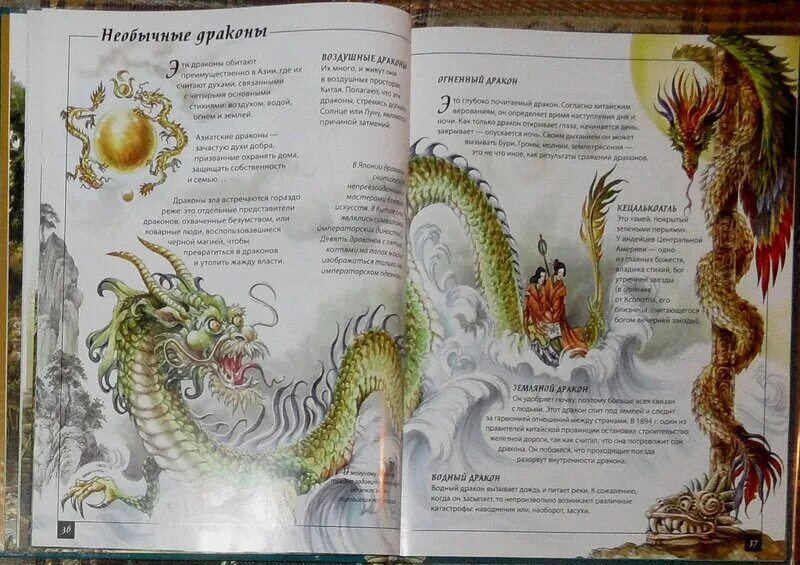 Зеленый дракон имуги. Земляной дракон характеристика. Желтый дракон. Золотистый дракон. Земляной дракон характеристика.