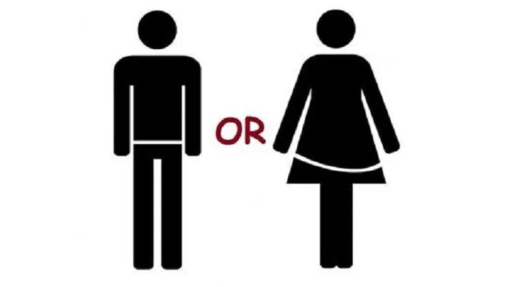 What gender are you. Find your gender. Are you male or female. Only male or female. Are you male or female.