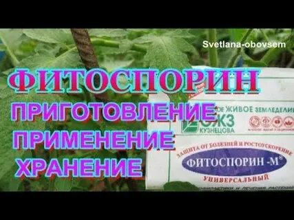 От фитофторы на картофеле чем опрыскивать