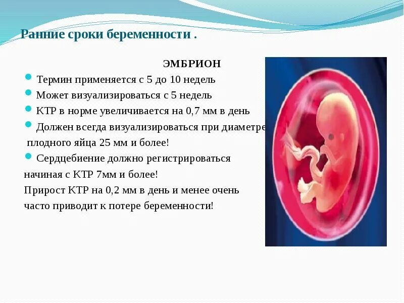 Срок беременности. Эмбриональный срок беременности. КТР 10 недель.