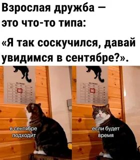 Записки алкоголика