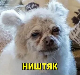 Мое состояние в конце года