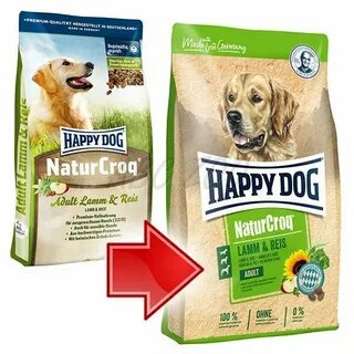 Happy dog natur