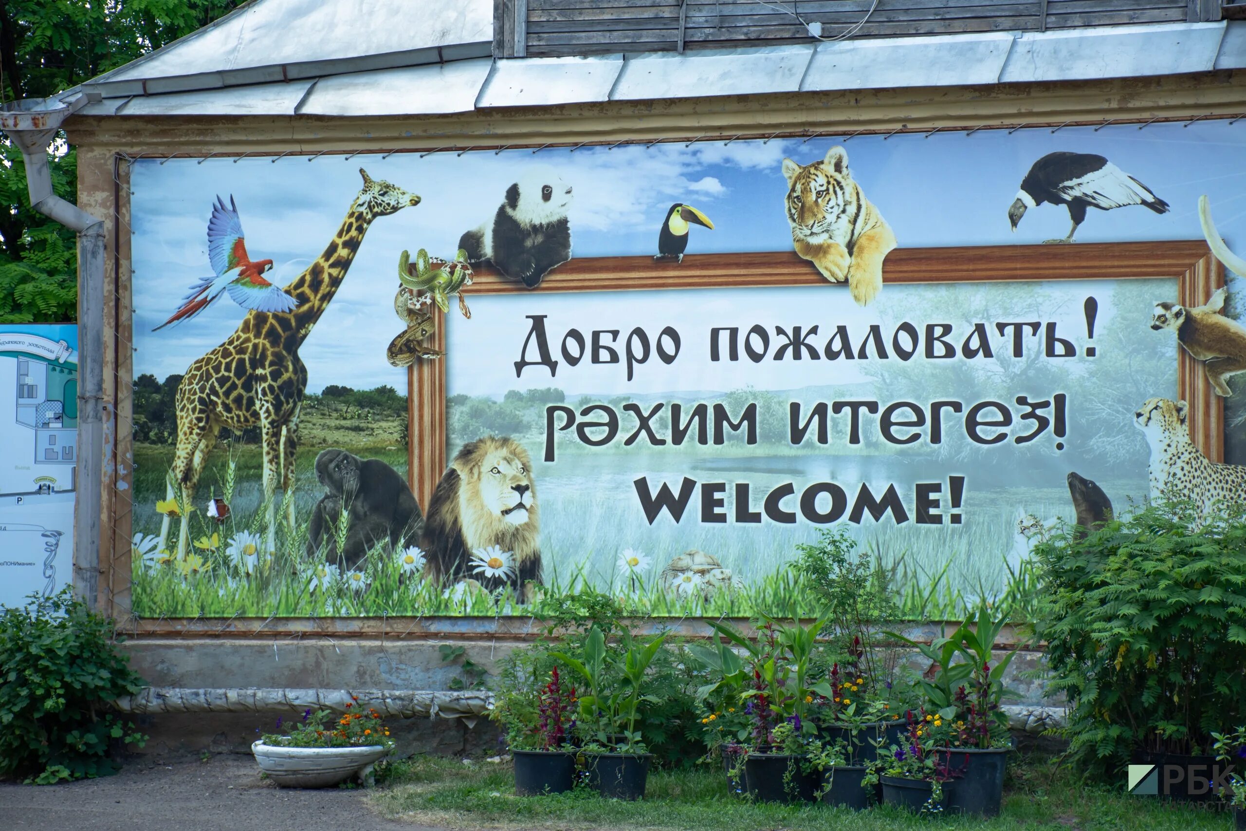 Казанский зооботанический сад река замбези. Зоопарк казань река замбези. Зооботанический сад казань новый. Зоопарк замбези казань. Казанский зооботанический сад река замбези.